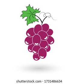 A bunch of pink grapes on a branch with a leaf.