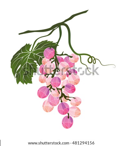 Bunch of pink grapes stylized polygonal