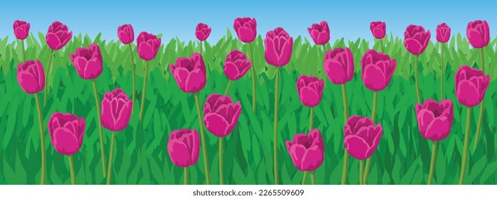 Bunch of Pink Tulips in a Field, vector illustration isolated, eps