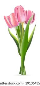 Bunch of pink tulips on white background. Realistic spring colorful flowers vector illustration. Floral decorative plants with petals and green leaves in blossom.