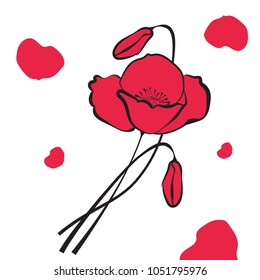 Bunch of poppies with petals.
