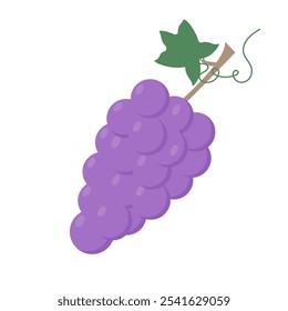 Um monte de uvas roxas. Alimentação saudável. Ilustração vetorial isolada sobre fundo branco.