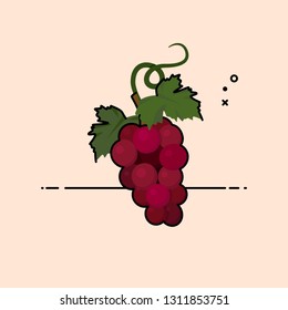 Bunch of purple grapes isolated in background. Flat vector illustration. 