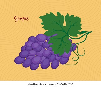 Bunch of purple grapes with leaves. Vector illustration. EPS 10