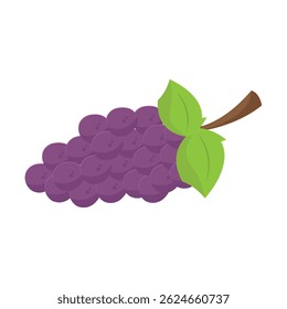 Bunch of purple grapes. Vector illustration