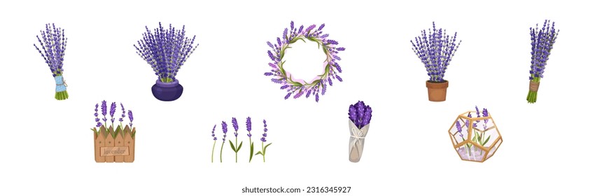 Bunch of Purple Lavender Twigs in Pot and Vase Vector Set