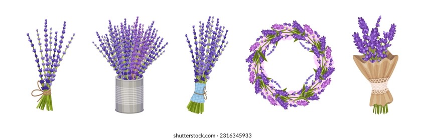 Conjunto de hebras de lavanda morada en conjunto vectorial de vástago y correa