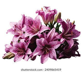 Bunch of purple stargazer flower