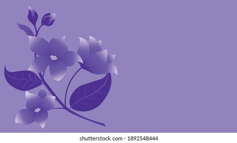 A bunch of purple tone flowers isolated on background.
