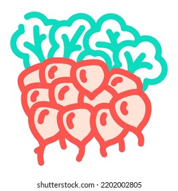 vector de iconos de color rábano raso ramificado. signo de racimo. ilustración de símbolo aislado
