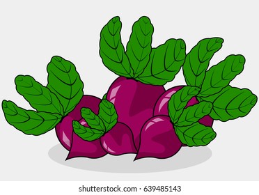 A bunch of radishes