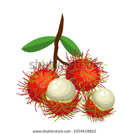 The bunch of rambutans on white background.