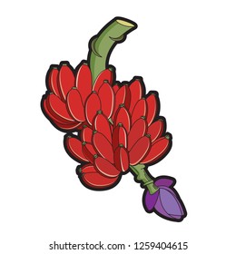 bunch of red bananas isolated on white background vector illustration