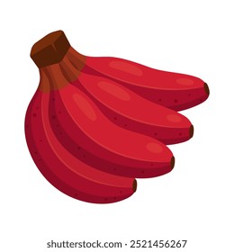 Bunch of red bananas isolated on transparent background. Tropical exotic fruit icon for farm market. Vector illustration in flat style.