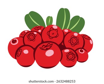 Bunch of red berries with green leaves. Flat vector illustration set sweet lingonberry fruits isolated on white background for printing on fabric, labels and for web pages..