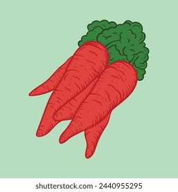 bunch of red carrots fresh vegetables vector illustration