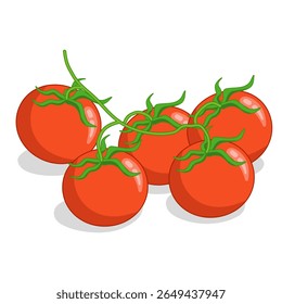Bando de tomates cereja vermelha sobre fundo branco. Ilustração vetorial de legumes para menu, livro de cozinha, impressão.