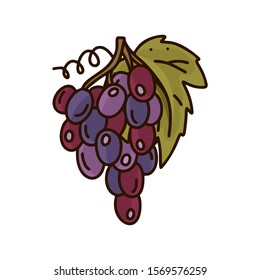 Bunch of red grapes. Cartoon isolated icon on white background. Hand drawn vector image. Color doodle illustration for logo. Dark burgundy vine