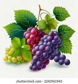 Bunch of red grapes with foliage. Vector illustration, print for background, print on fabric, paper, wallpaper, packaging.