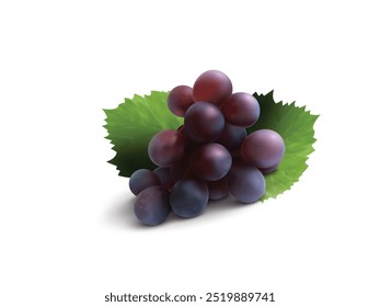 Bunch of Red Grapes with Green leaves Vector isolated on transparent background