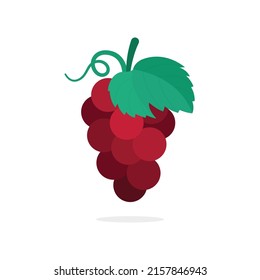 Bunch of red grapes hand drawn vector illustration. Grape and vine drawing. Part of set.