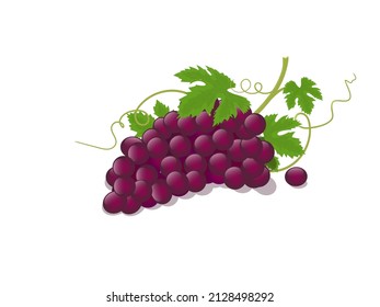 Montón de uvas rojas ilustración vectorial isométrica estoy en estilo en blanco