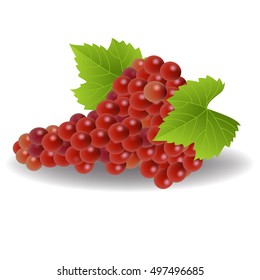 Bunch of red grapes on a white background