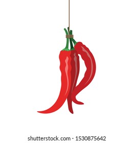 Bunch of red hot peppers hanging. Vector illustration isolated on white background