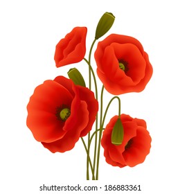 Bunch of red romantic blooming poppy flowers isolated vector illustration