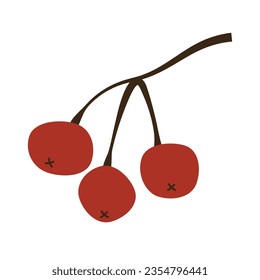 Bunch of red rowan berries isolated on white background. Vector illustration in flat style. Rowan branch without leaves.