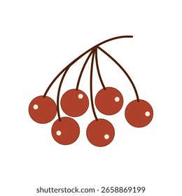Manojo de bayas rojas aisladas sobre fondo blanco. Rama de Rowan con hojas verdes. Ilustración vectorial en estilo plano.