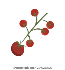 Un montón de tomates rojos.aislados en fondo blanco ,Ilustración vectorial EPS 10