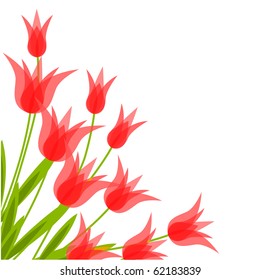Bunch of red tulips.