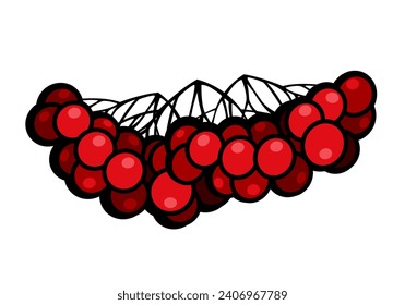 Bunch of red viburnum opulus berries. Isolated. Graphic image for prints, poster and illustrations.