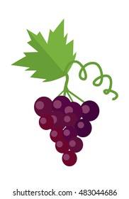 Bunch of red wine grape with green leaves. Fresh fruit. Vineyard grape icon. Red grape icon. Wine grape icon. Isolated object in flat design on white background. Vector illustration.