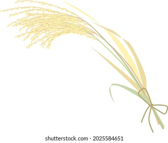Un montón de ilustración del vector de arroz
