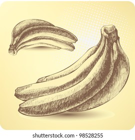 Bunch of ripe bananas, hand-drawing. Vector illustration.