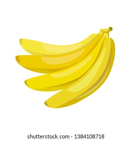 bunch of ripe bananas. vector illustration