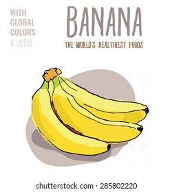 Bunch of ripe bananas. Vector illustration Eps10 file. Global colors&layers.