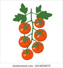a bunch of ripe cherry tomatoes on a branch with leaves