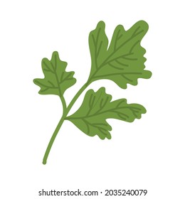 
Bunch of ripe parsley illustration