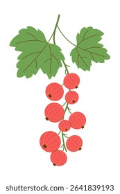 Bunch of ripe red currants with leaves. Cute vector illustration for design of label for jam can, berry cake recipe, stickers on white isolated background. Vertical format.