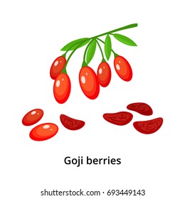 Bunch of ripe red goji berries and dried isolated on white background. Vector illustration in cartoon style.