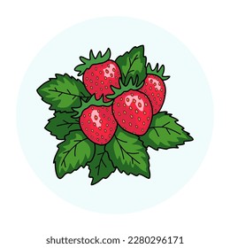 Bunch of ripe strawberries with leaves.