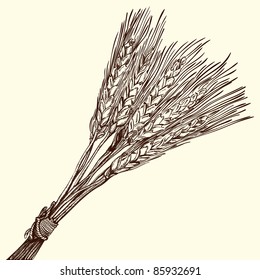 bunch of ripe wheat