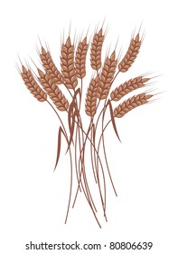 bunch of ripe wheat ears with red ribbon, vector