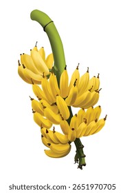 Um monte de bananas amarelas maduras em um tronco verde, estilo de ilustração vetorial.