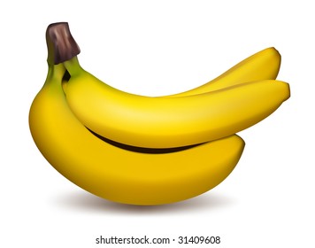 bunch of ripe yellow bananas  vector / mesh