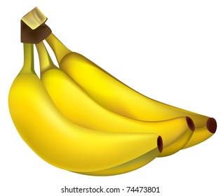 Bunch of ripe yellow bananas. Vector