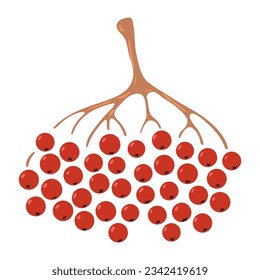 Montón de bayas dibujadas a mano. Diseño plano de estilo caricatura, vector aislado. Otoño infantil, impresión de caída, elemento vegetal estacional, bosque, parque, exterior, naturaleza